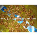 High Quality Fresh Ginger with Best Price